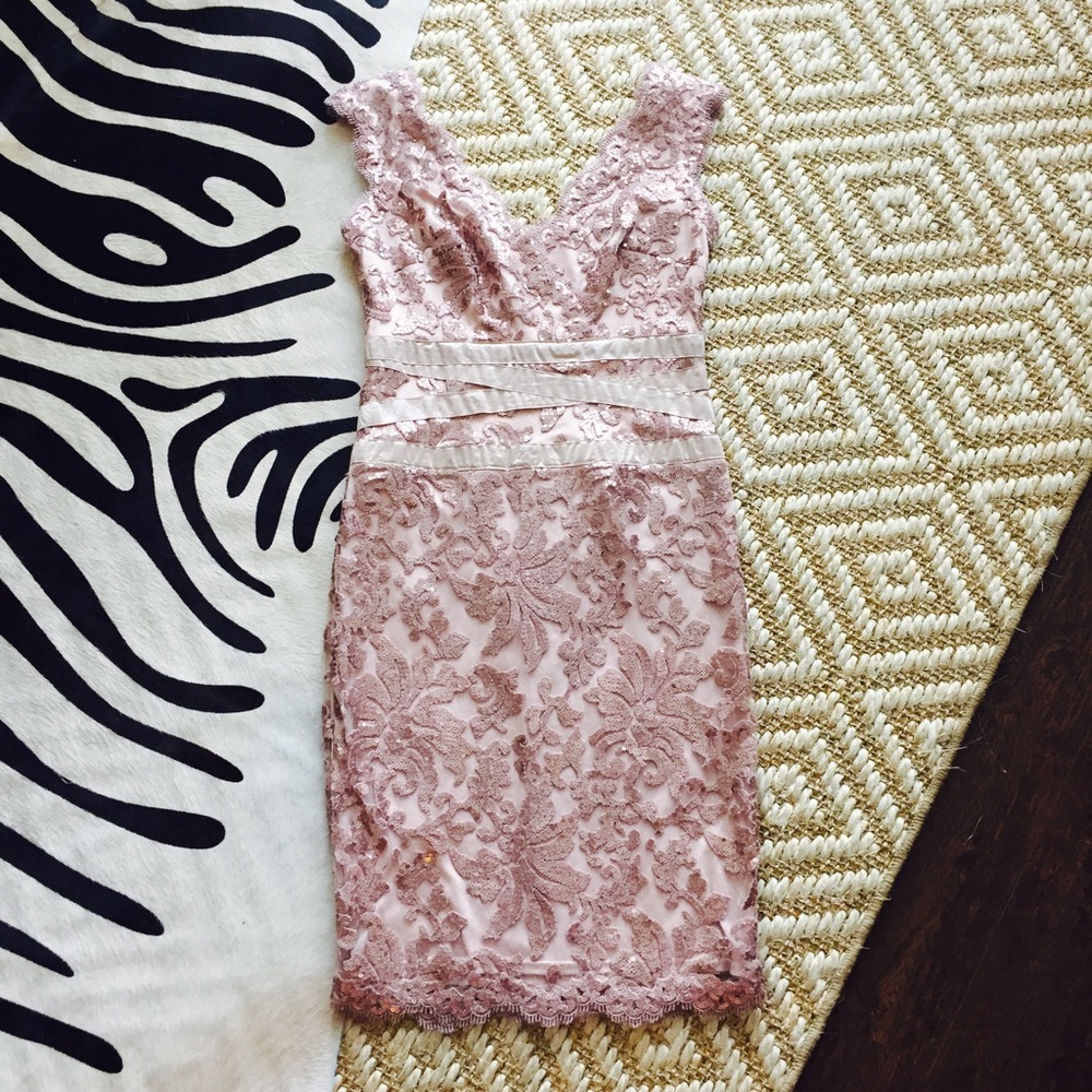 Tadashi Shoji Blush Sequin Lace Dress